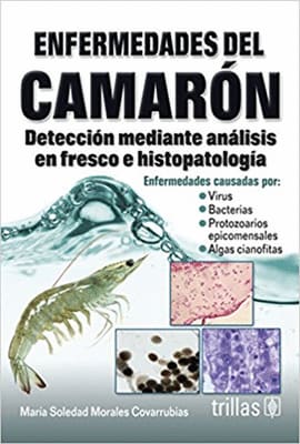 ENFERMEDADES DEL CAMARON. Detección mediante análisis en fresco e histopatologia