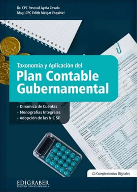 TAXONOMIA Y APLICACION DEL PLAN CONTABLE GUBERNAMENTAL