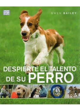 PATRÓN DE NAVEGACIÓN BÁSICA
