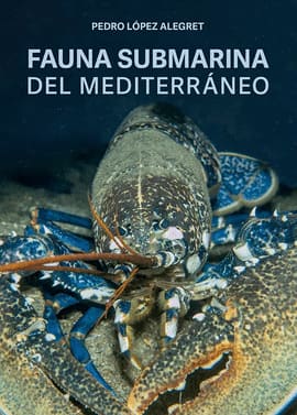 FAUNA SUBMARINA DEL MEDITERRÁNEO