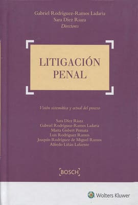 LITIGACIÓN PENAL. Visión sistemática y actual del proceso