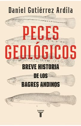 PECES GEOLÓGICOS.. Pequeña historia de los bagres andinos