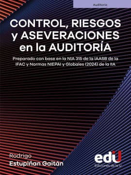 CONTROL, RIESGOS Y ASEVERACIONES EN LA AUDITORÍA. Preparado con base en la NIA 315 de la IAASB de la IFAC y Normas NIEPAI y Globales (2024) de la IIA